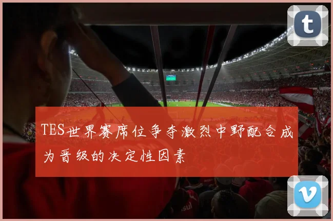 TES世界赛席位争夺激烈中野配合成为晋级的决定性因素