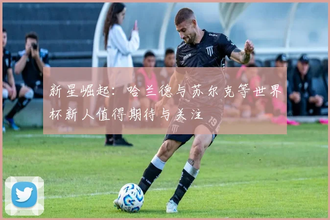 新星崛起:哈兰德与苏尔克等世界杯新人值得期待与关注